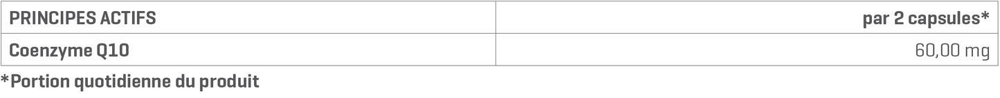 Coenzyme Q10 / 90caps