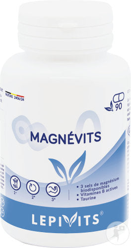 Magnevits Lepivits / 90caps